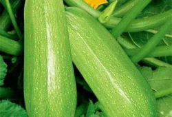 碗盆吃瓜爆料图片大全,揭秘娱乐圈幕后风云